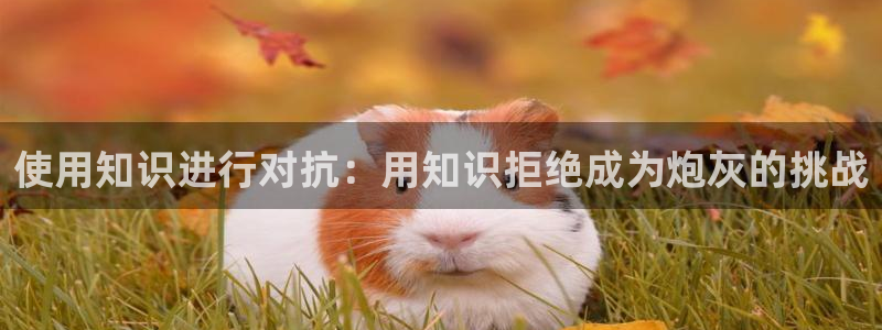 笔趣书阁官网app