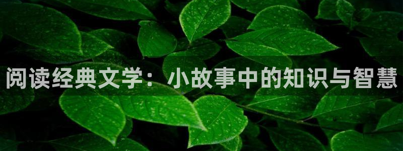 趣书网宝书网