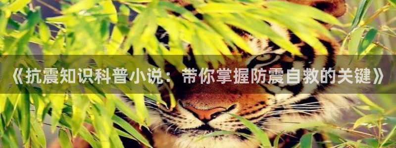 笔趣书阁网