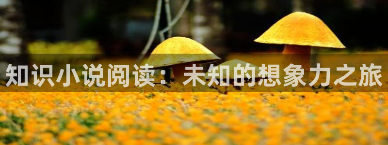 趣书 网