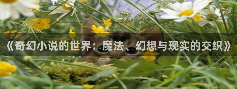 笔趣书阁红色版下载