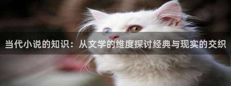 笔趣书阁免费阅读小说app下载