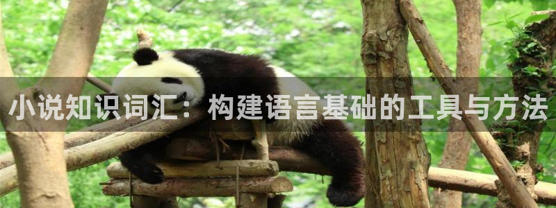 笔趣书阁免费阅读小说软件