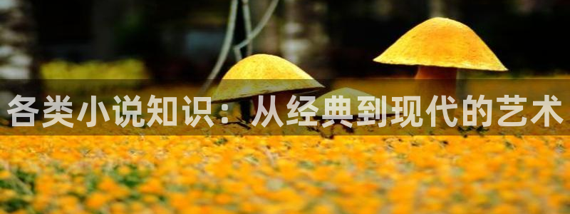 笔趣书阁高h