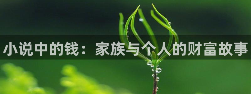 类似趣书网宝书网的网站