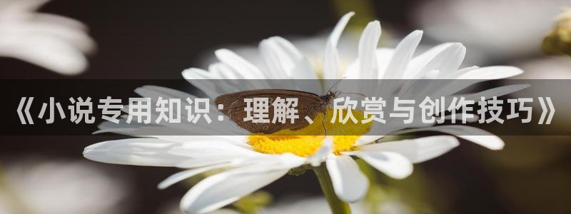 笔趣书笔趣阁