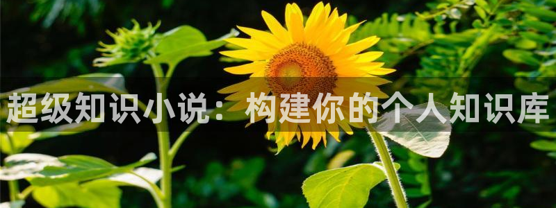 笔趣书阁app下载免费版