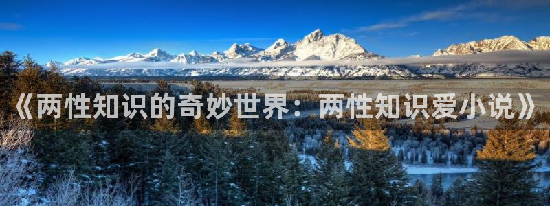 高度契合txt趣书网