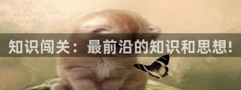 笔趣书阁免费小说