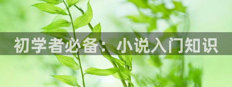 笔趣书阁小说
